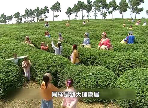 同样是隐居大理：为什么晴儿比小燕子老的快？原因很心酸