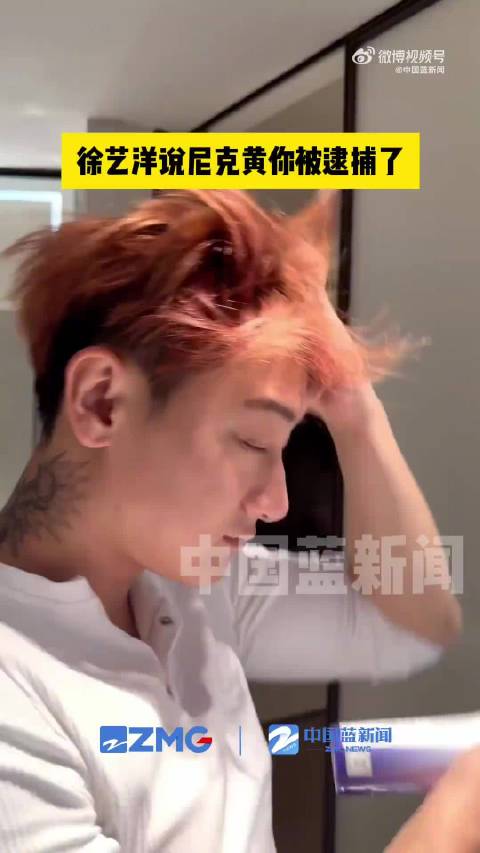 徐艺洋说尼克黄你被逮捕了