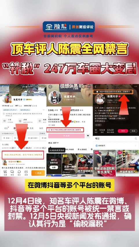 头部车评人陈震全网禁言背后：高收入群体的“避税游戏”该终结了