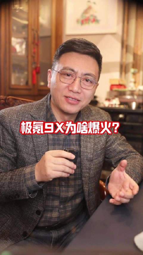 极氪9X为啥爆火？