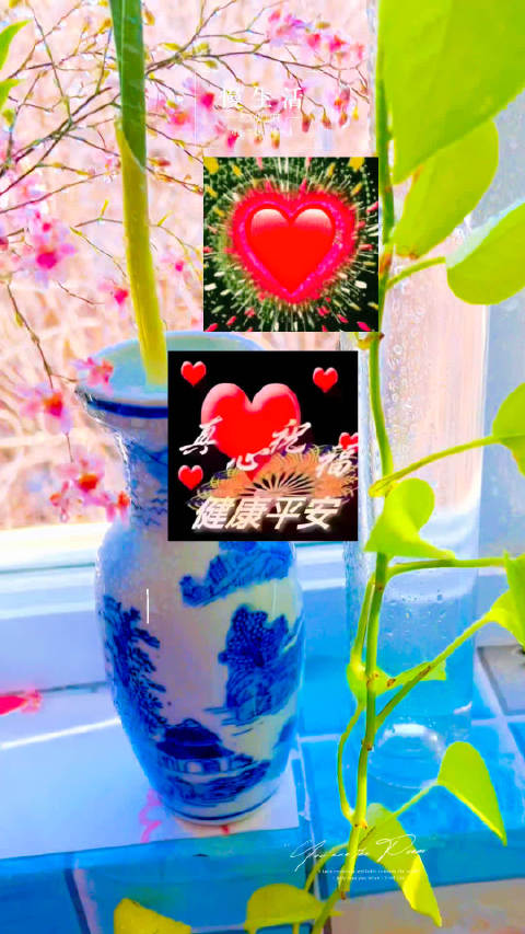 绿植装点蜗居生活，氧气女神晒温馨日常