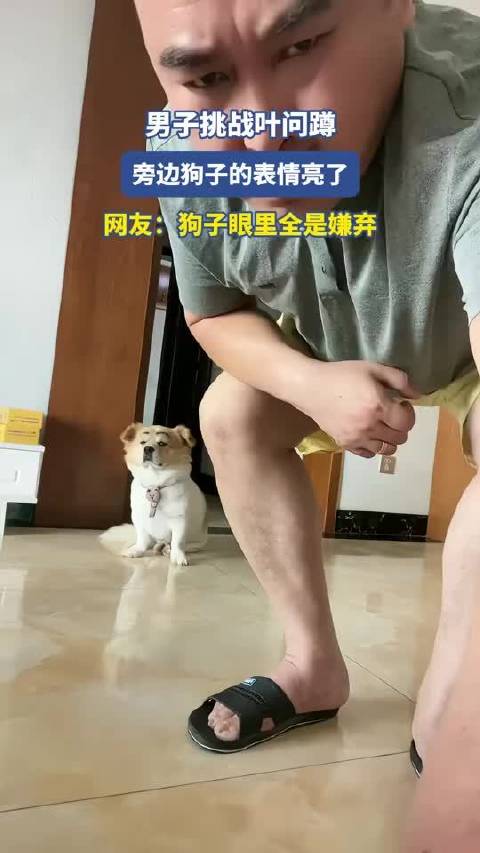 男子挑战叶问蹲，旁边狗子的表情亮了，网友：狗子眼里全是嫌弃