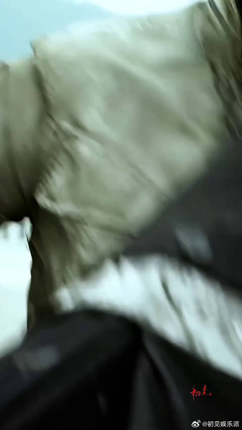 甄子丹的动作又酷又帅，喜欢他的每一部电影