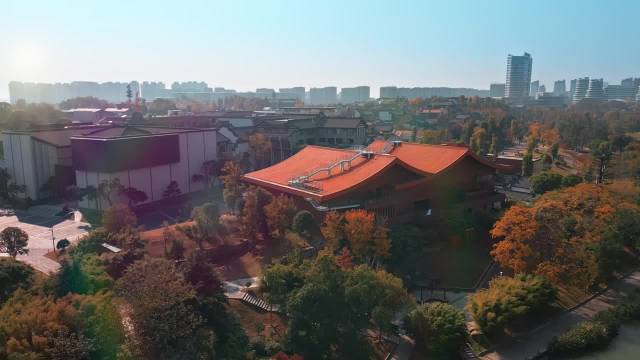 黄雅琼刘雨辰衢州中式婚礼太绝了，衢州文旅发的，顺便宣传一下衢州家长！