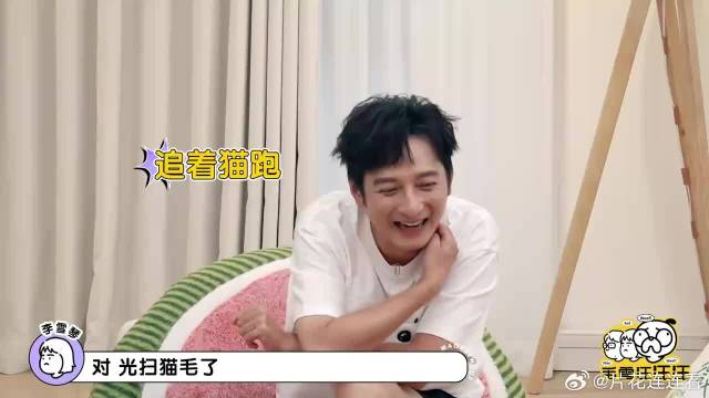 papi酱搬家半年开荒三次！一周叫两次保洁，比维嘉都洁癖