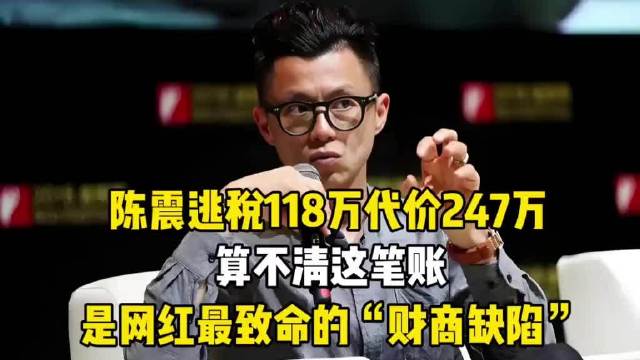 车评人陈震借空壳工作室偷逃税款百万遭重罚