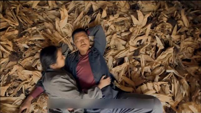 平凡世界中的遗憾与人生无奈