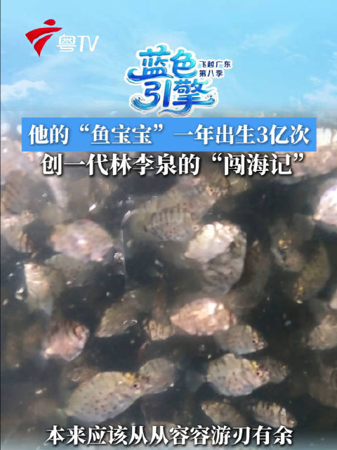 阿叔海王实锤年产鱼苗3亿尾