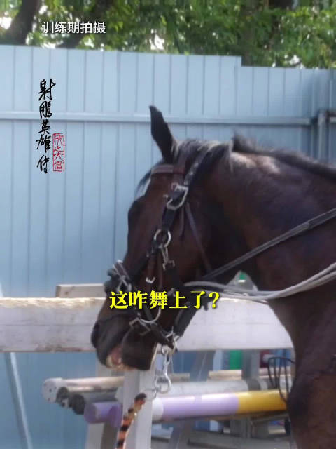 肖战饰演郭靖新片曝光，马戏互动引关注