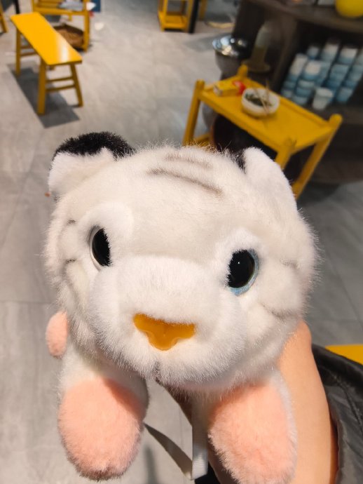 我的座椅旁边突然出现了一个有着蓝色眼睛的小白虎！