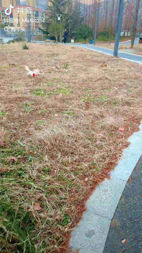 陈奕恒你是不是就这么用脸刹的车