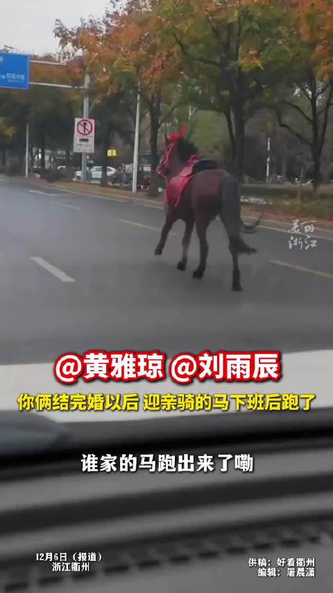 黄雅琼刘雨辰结婚用的马跑了 马：我免费了！