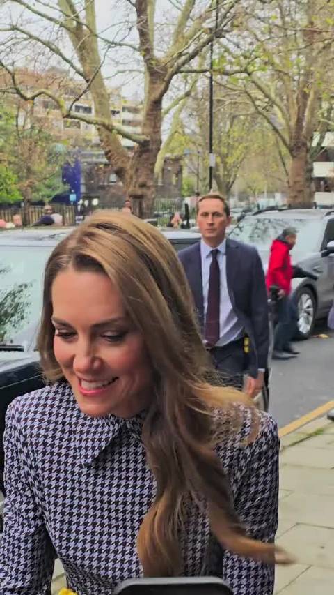 威尔士王妃停下来和送她黄玫瑰的女士聊天