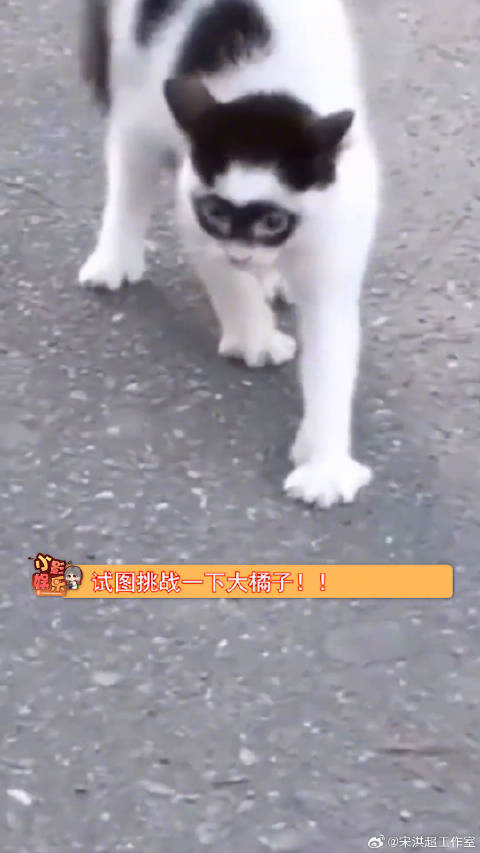 好久不见 蝙蝠侠这么拉了？