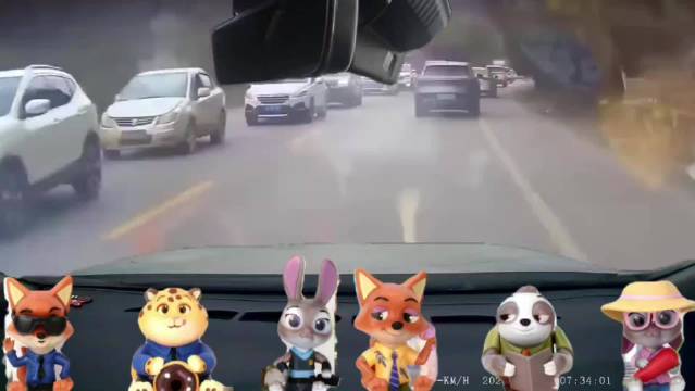 奔驰逆行超车引争议,视频车加速应对