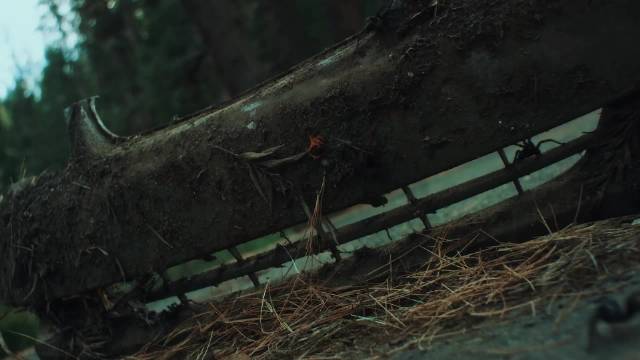 （上）2024最新烧脑悬疑爽片，森林版“恐怖游轮”！