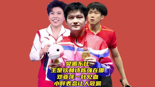 樊振东胜王楚钦林诗栋，邓亚萍点评小胖表态