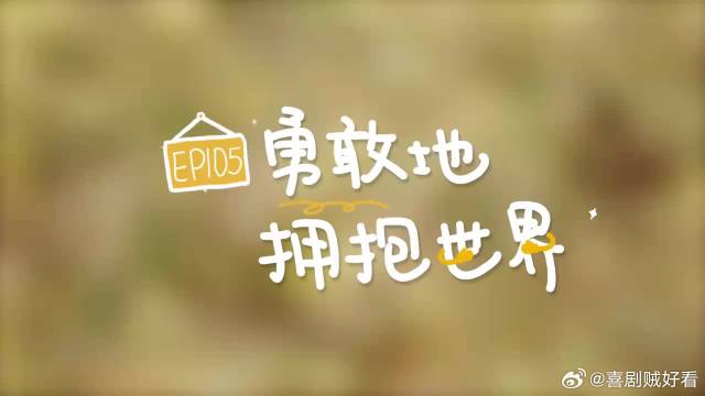 张艺凡带爱犬做客，李雪琴抱狗被元宝疯狂扒腿，笑疯毛毛