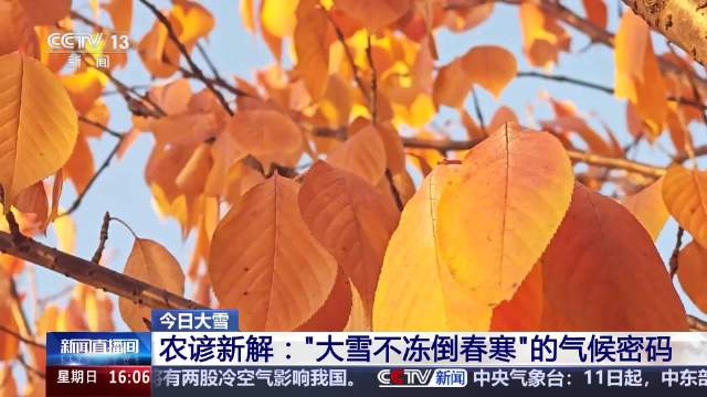 大雪不凍真的會倒春寒嗎