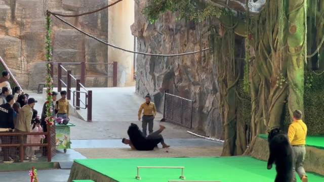 人熊大战，差点失控，网友：今天这个门票值了