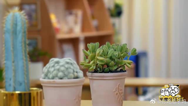 老夫老妻就是甜蜜！李晟自爆与李佳航相处日常，太好磕了