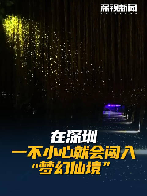 在深圳一不小心就会闯入“梦幻仙境”