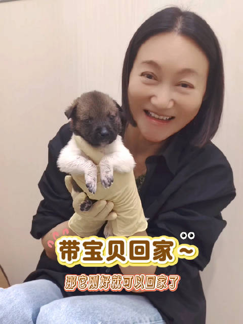 惠英红领养小狗女儿倡导以领养代替购买