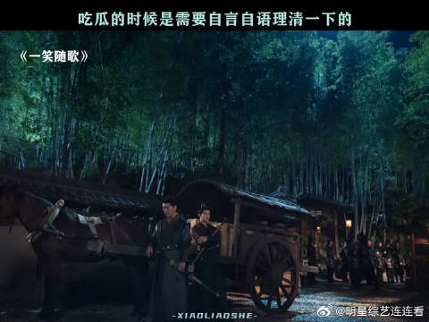 吃瓜吃到精髓了