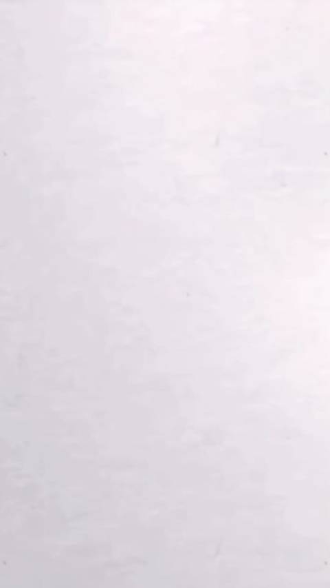 一本正经研究所 ｜合肥版“疯狂动物城”上演！