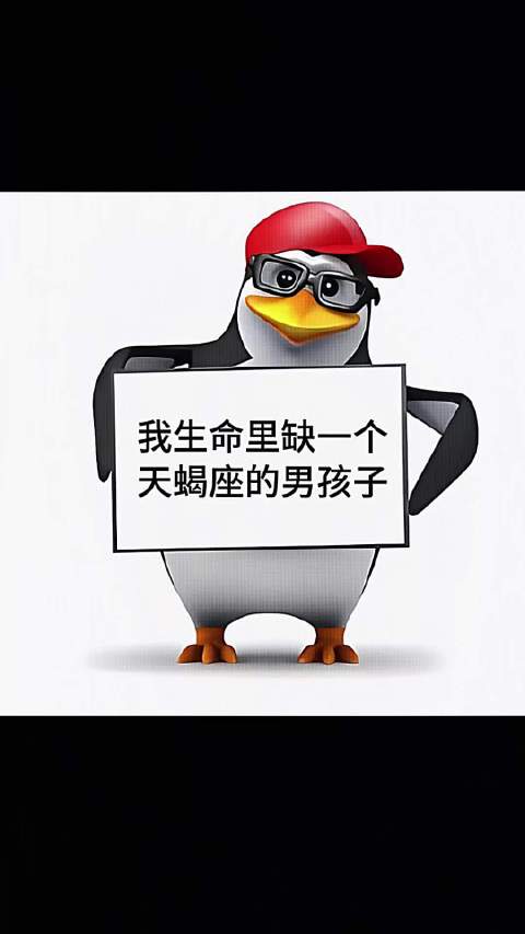 我生命里缺一个天蝎座的男孩子