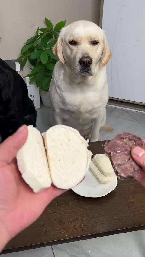 既怕兄弟过的苦！ 又怕兄弟开路虎！