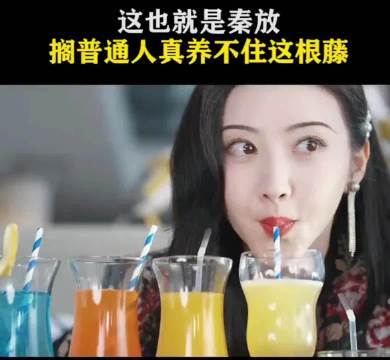 各式各样的饮料任司藤挑选，这也就秦放能养的起了