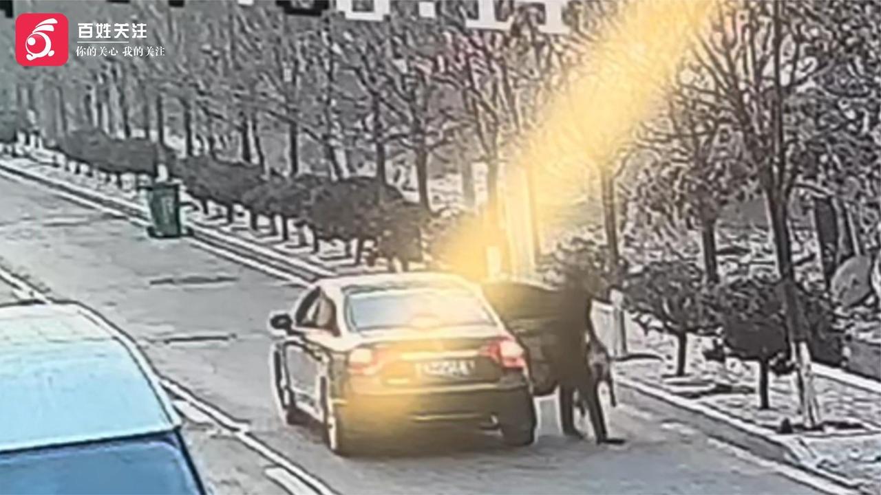 盜狗團伙作案被清晰記錄