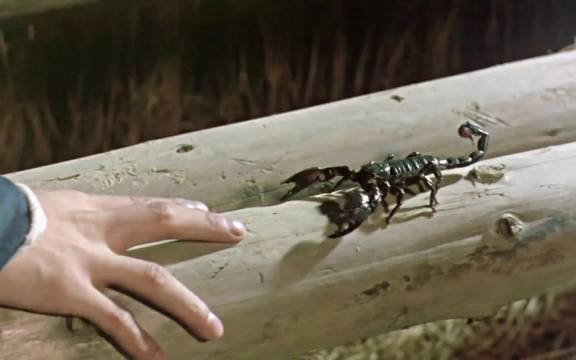 盘点影视剧那些失误造就的“名场面”