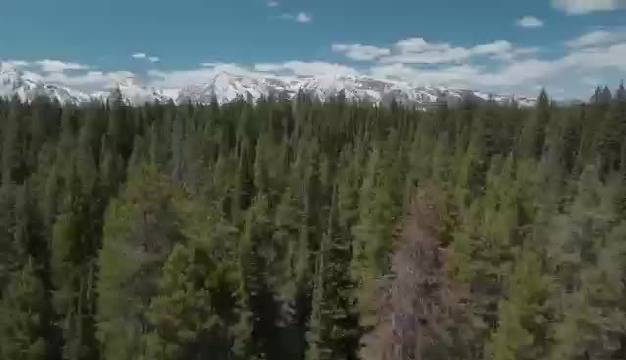 探险家金国威唯一指定路虎卫士为探索伙伴