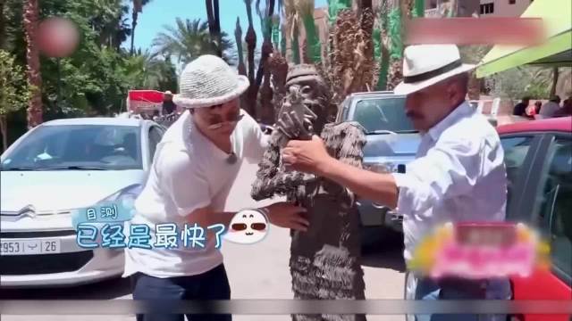 沈腾在国外花三千块买了只大铁猴，千方百计弄回国后，才发现竟是国产的马丽