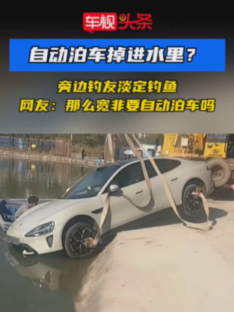 小米SU7自动泊车入水钓友淡定垂钓