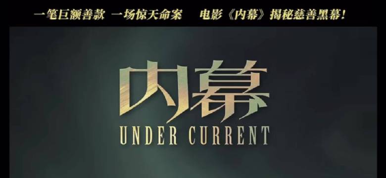 《内幕》揭露2亿善款失踪案，追光者撕开慈善假面