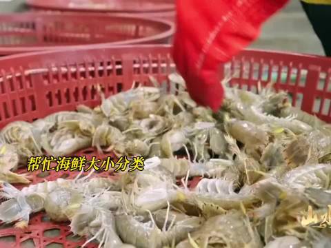 王丽坤上综艺是去干活的，使不完的劲