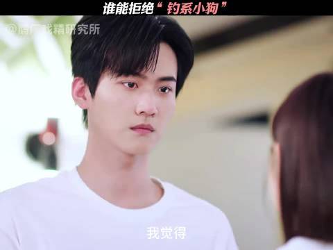 谁能拒绝“钓系小狗”