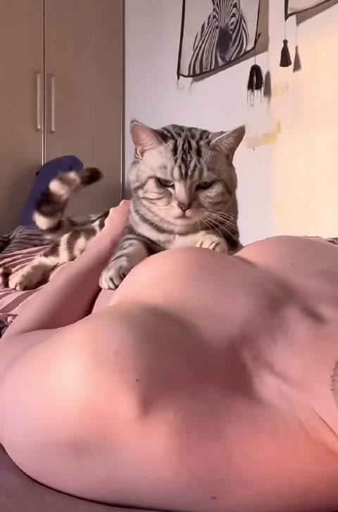 刚刷到的，突然想到了可乐和可乐他哥 建议可以来一段