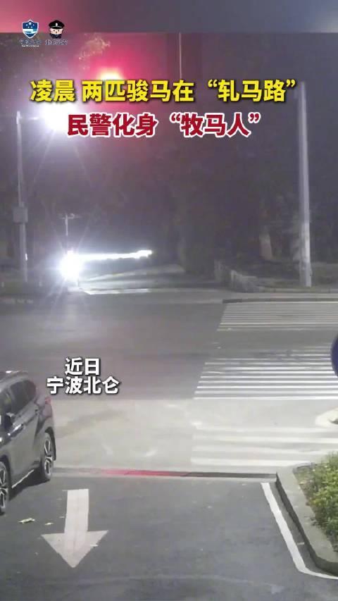 凌晨，两匹骏马在“轧马路”，民警化身“牧马人”