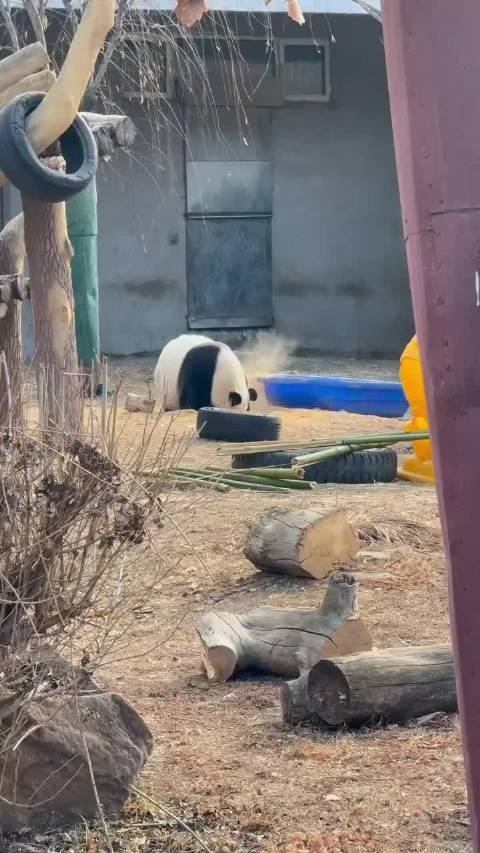 飞云和冰清姐妹俩这是准备一起越狱碰头啊，拼了命的挖呀挖