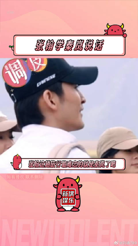 接受采访的秦岚