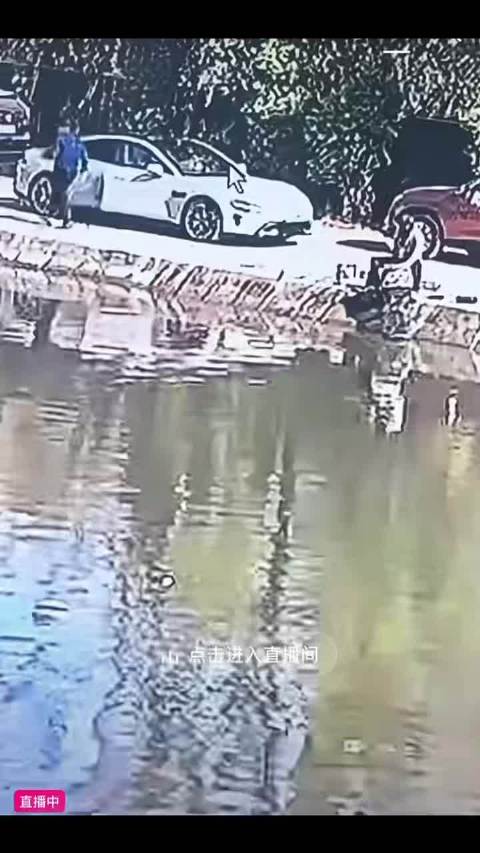 这是自动泊车掉河里了？