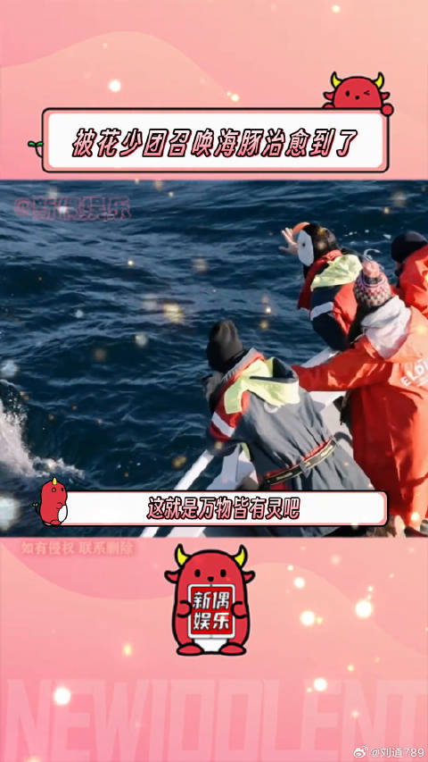 海豚听到了人类善意的召唤...胡先煦 赵昭仪