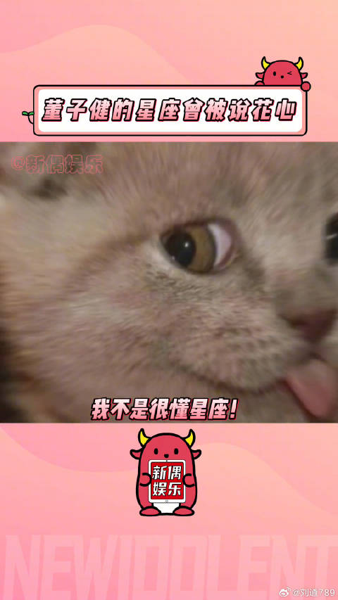 和射手座 孙怡 微博VC计划