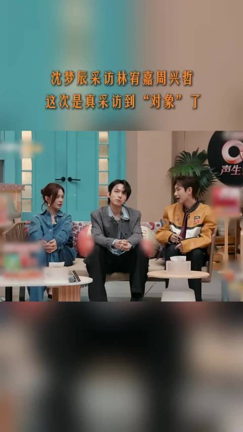 沈梦辰 采访 周兴哲，被问到参加节目的心情，立即开始“大象语小课堂”