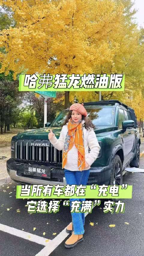 哈弗猛龙燃油版亮相，WLTC综合油耗8.65L兼顾性能省油