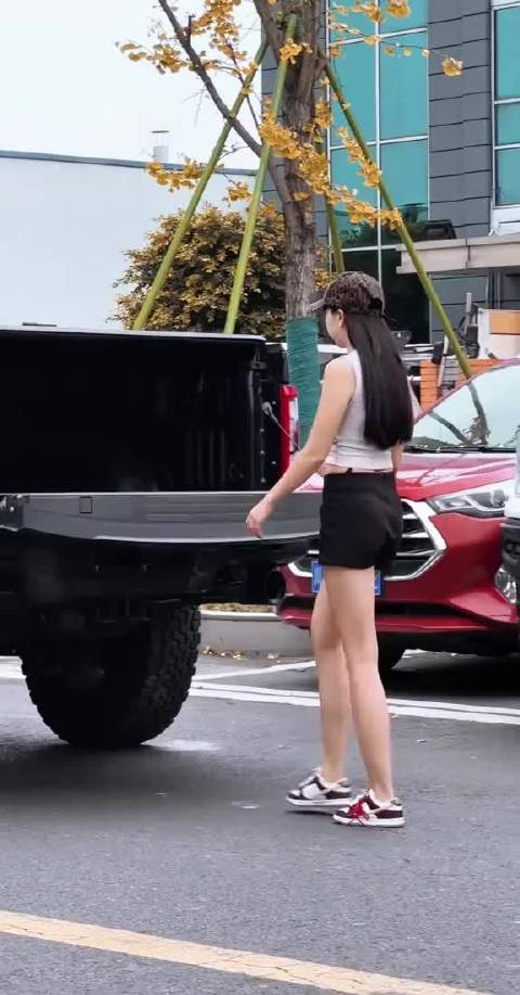 小猛禽 有没有一的